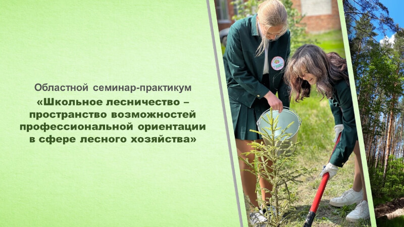 В Тамбовской области состоится семинар-практикум для специалистов сфер образования и лесного хозяйства по развитию школьных лесничеств