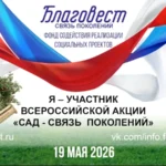 акция