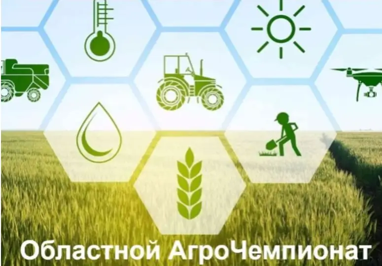чемпионат