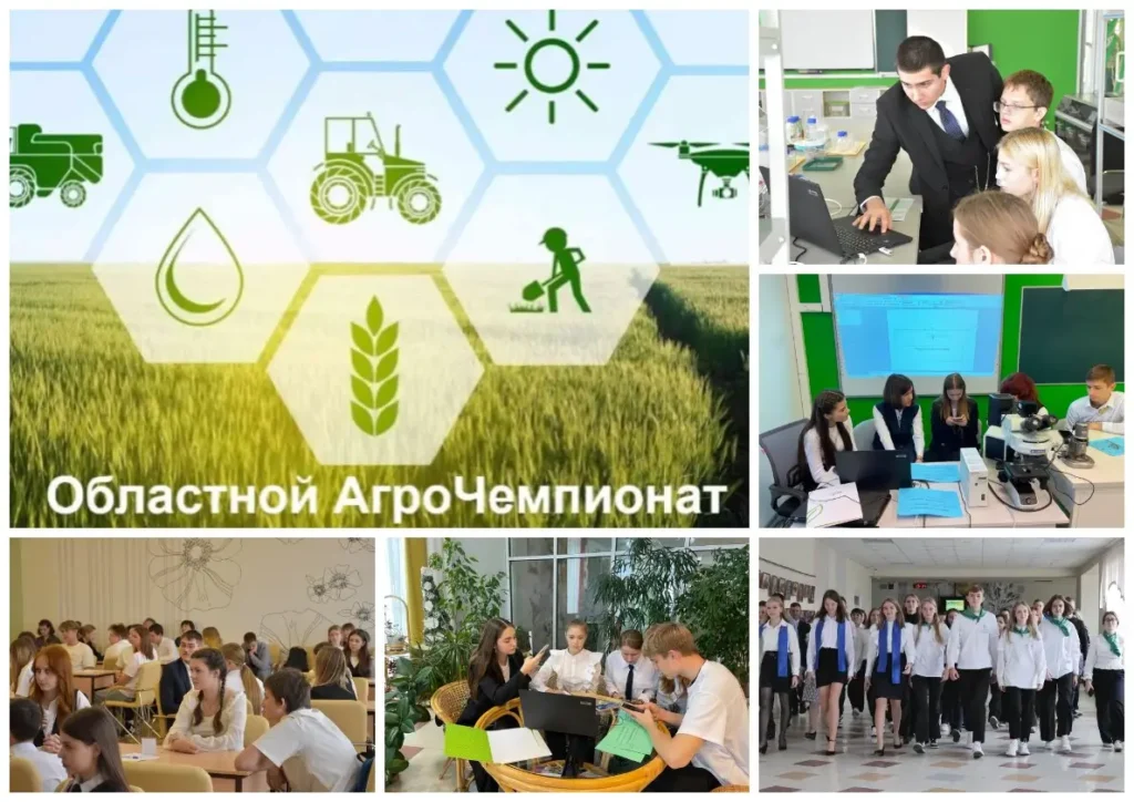 чемпионат
